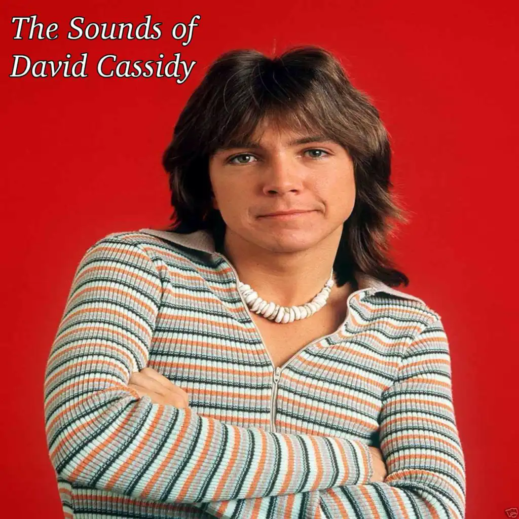 The Sounds of David Cassidy