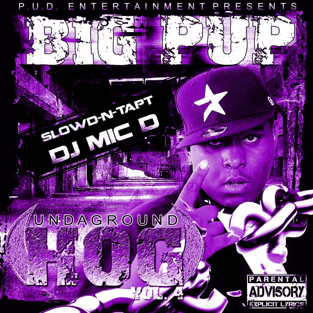 Do It Big (Slowd n Tapt) [feat. DJ Mic D]