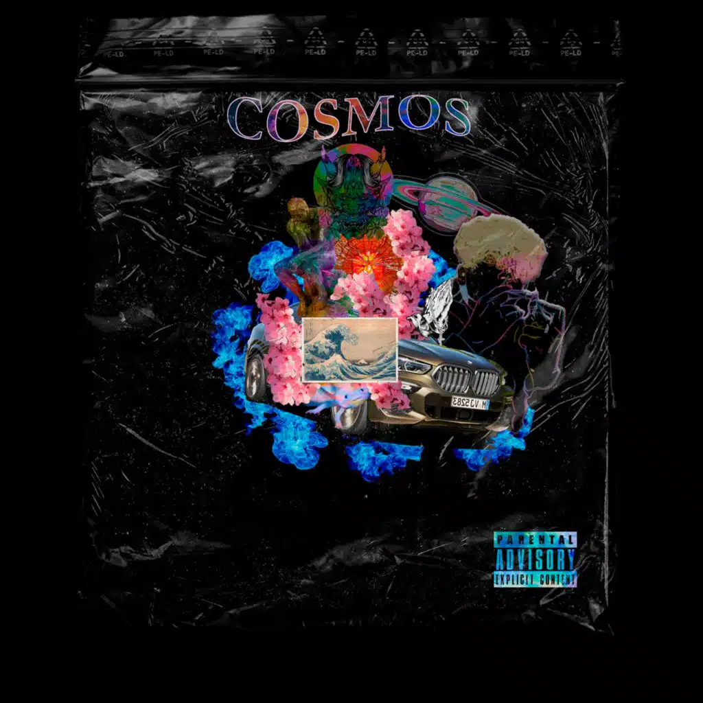 Cosmos
