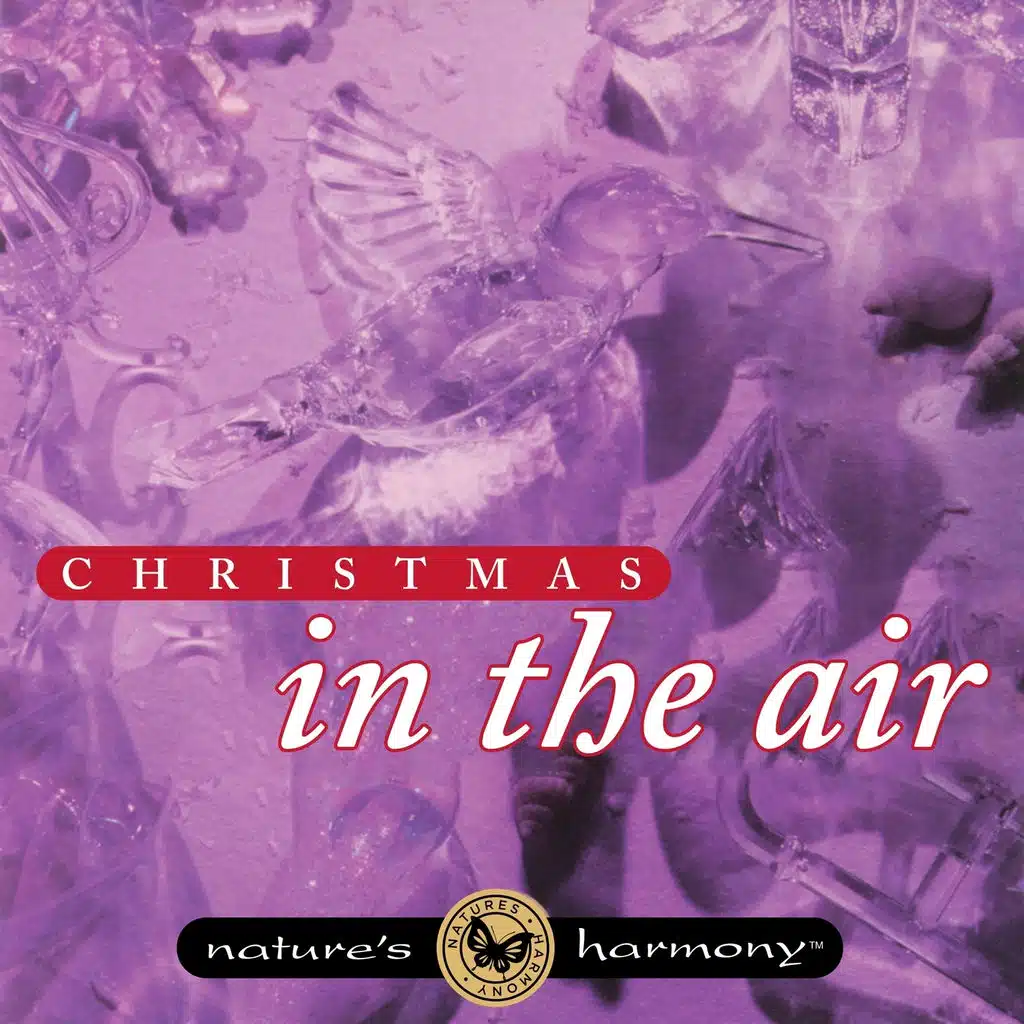 Christmas in the Air
