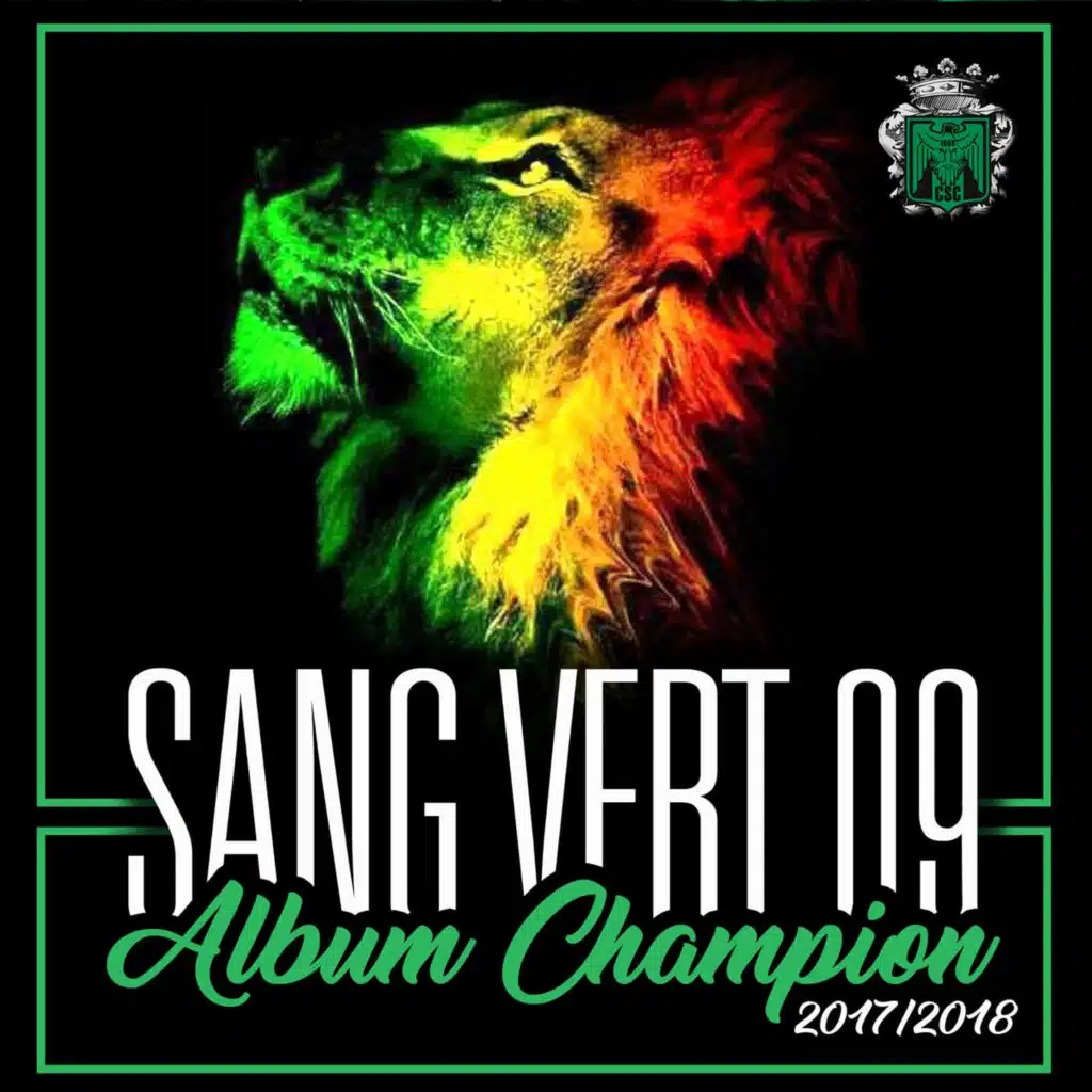 جروب سانج فيرت