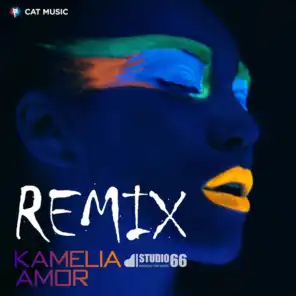 Amor (Studio 66 Remix)