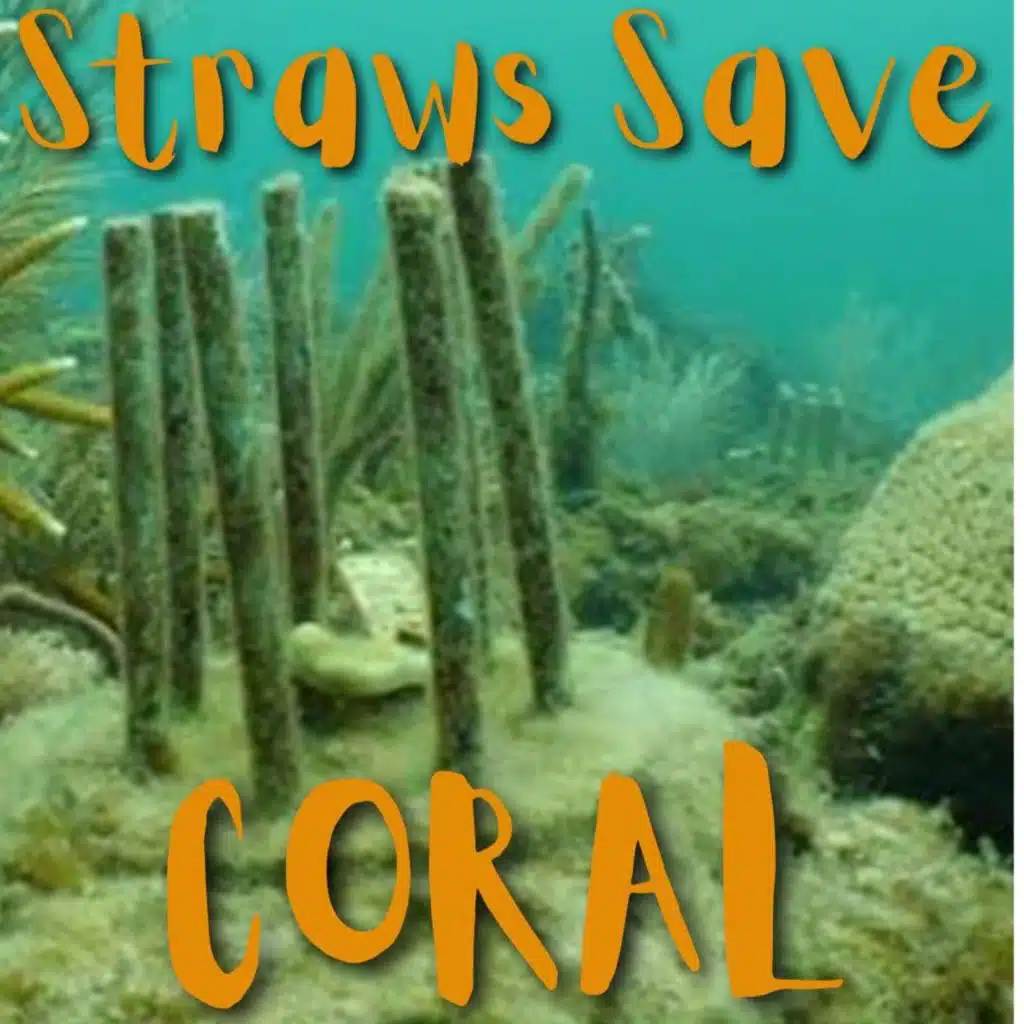 Kid News This Week: Straws save coral, eco-warrior grannies, Taylor breaks records, Borneo bird nests, travel anxiety dog-squad