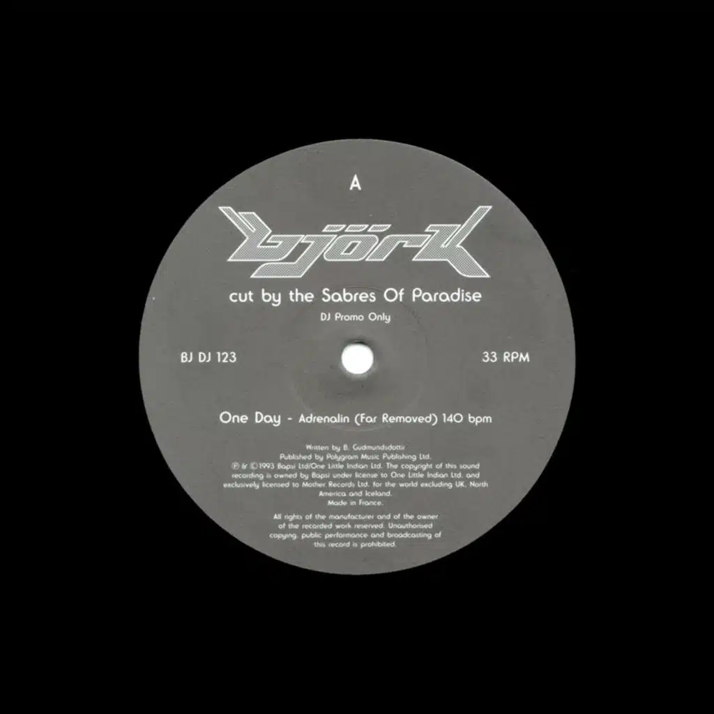 One Day (Adrenalin (Far Removed)) [feat. The Sabres Of Paradise]