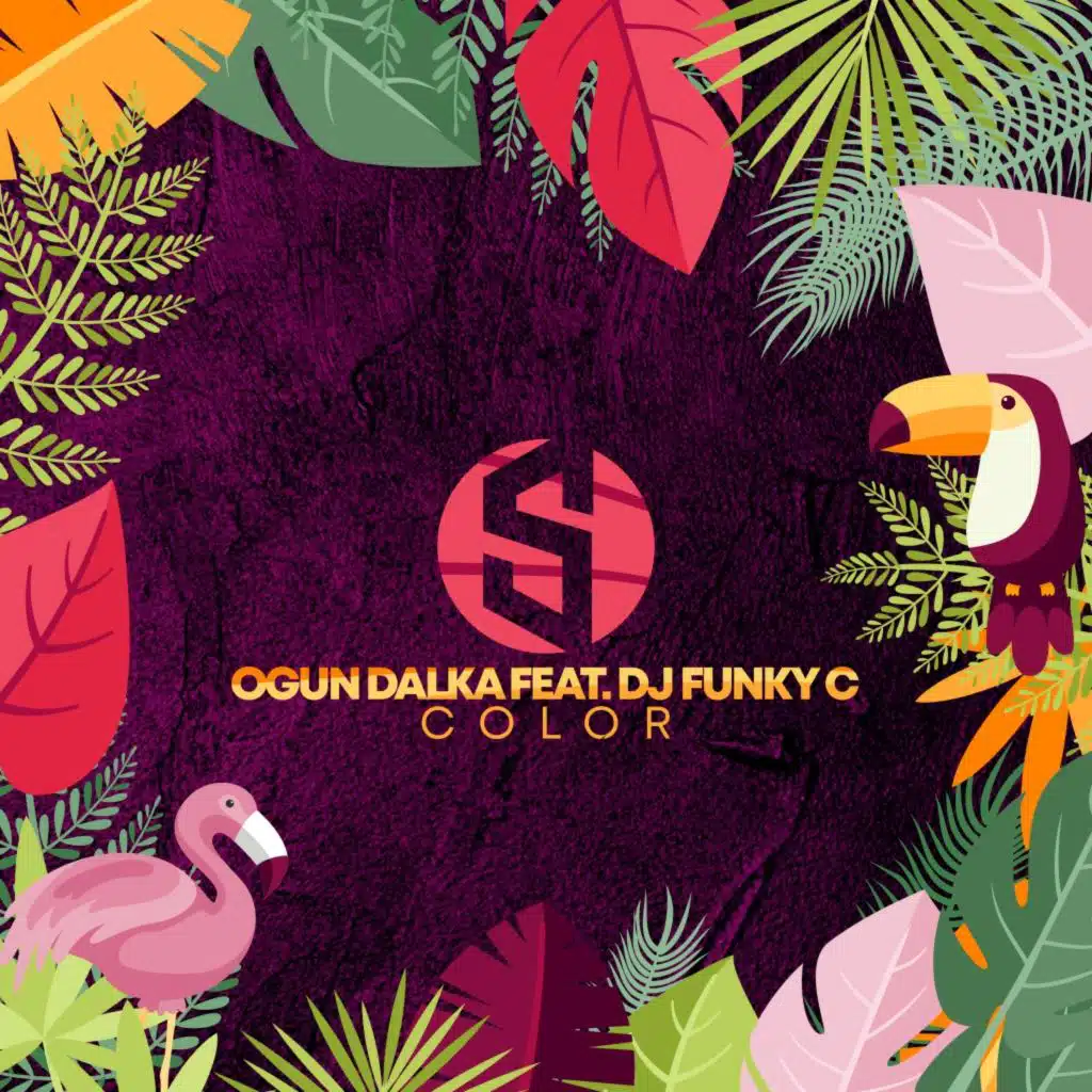 Color (Extended Mix) [feat. DJ Funky C]