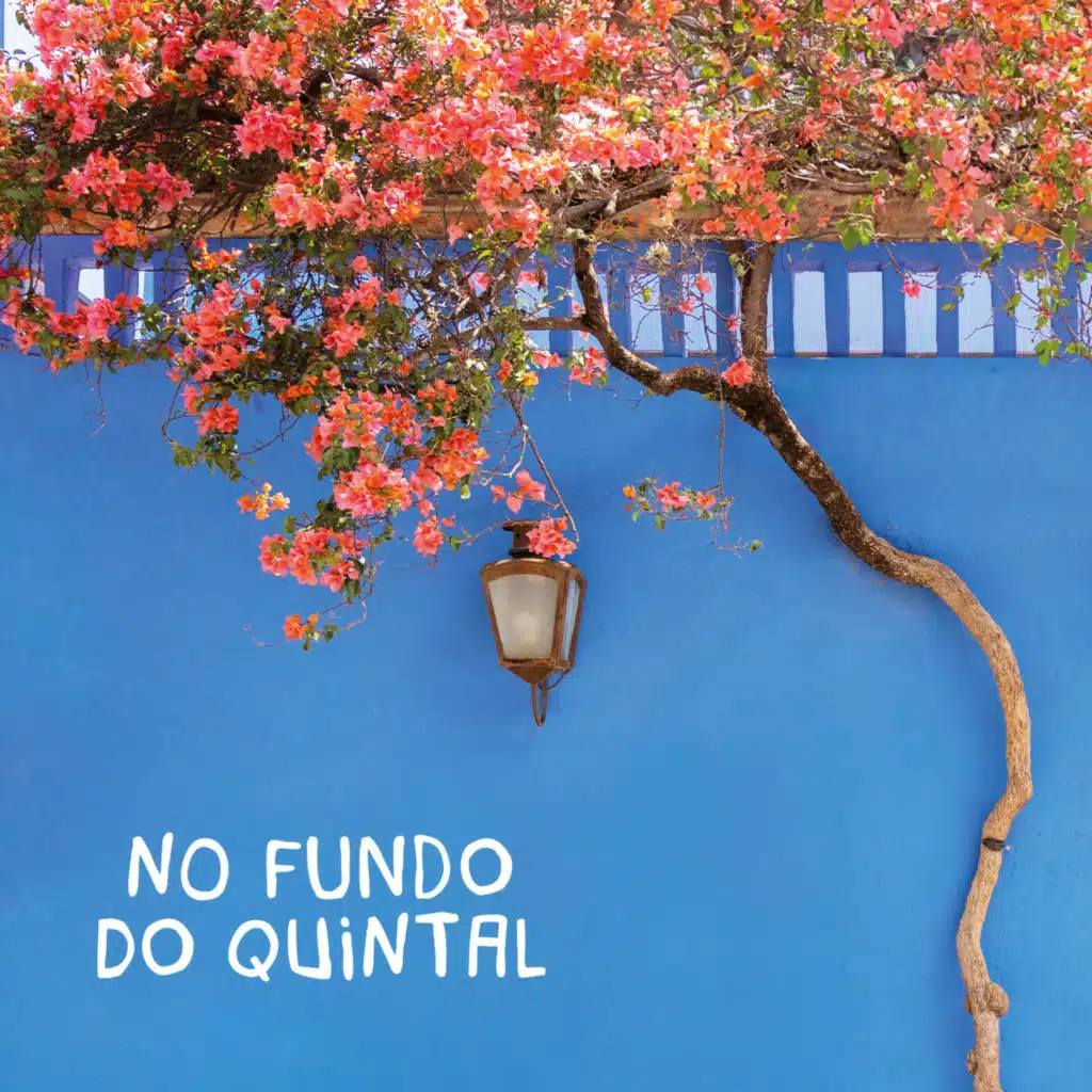 No fundo do quintal (feat. Dani Black)