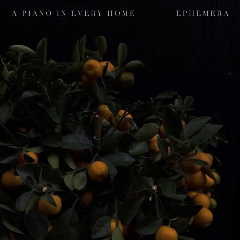 Ephemera