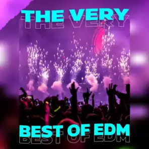 The Very Best of EDM
