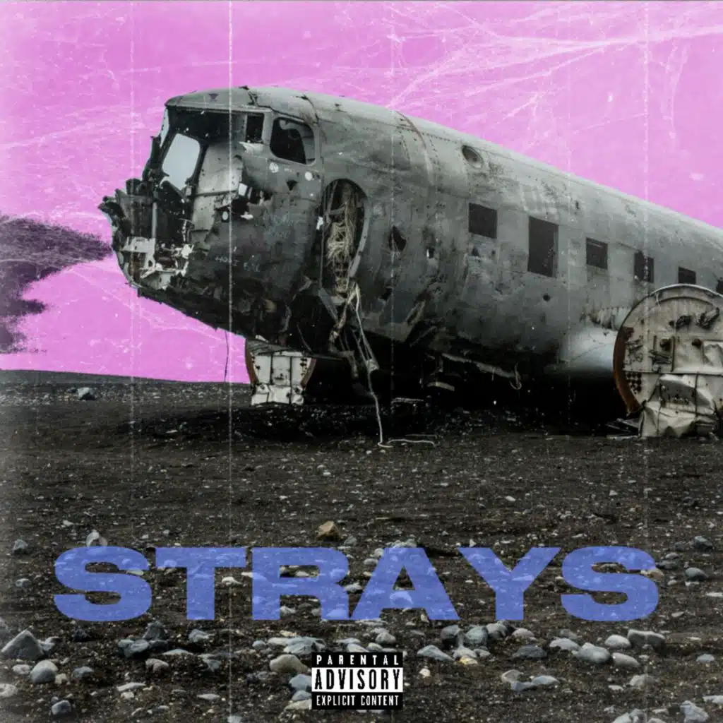 Strays