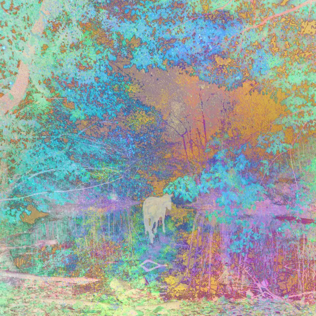 Thousand Years & Blue Foundation