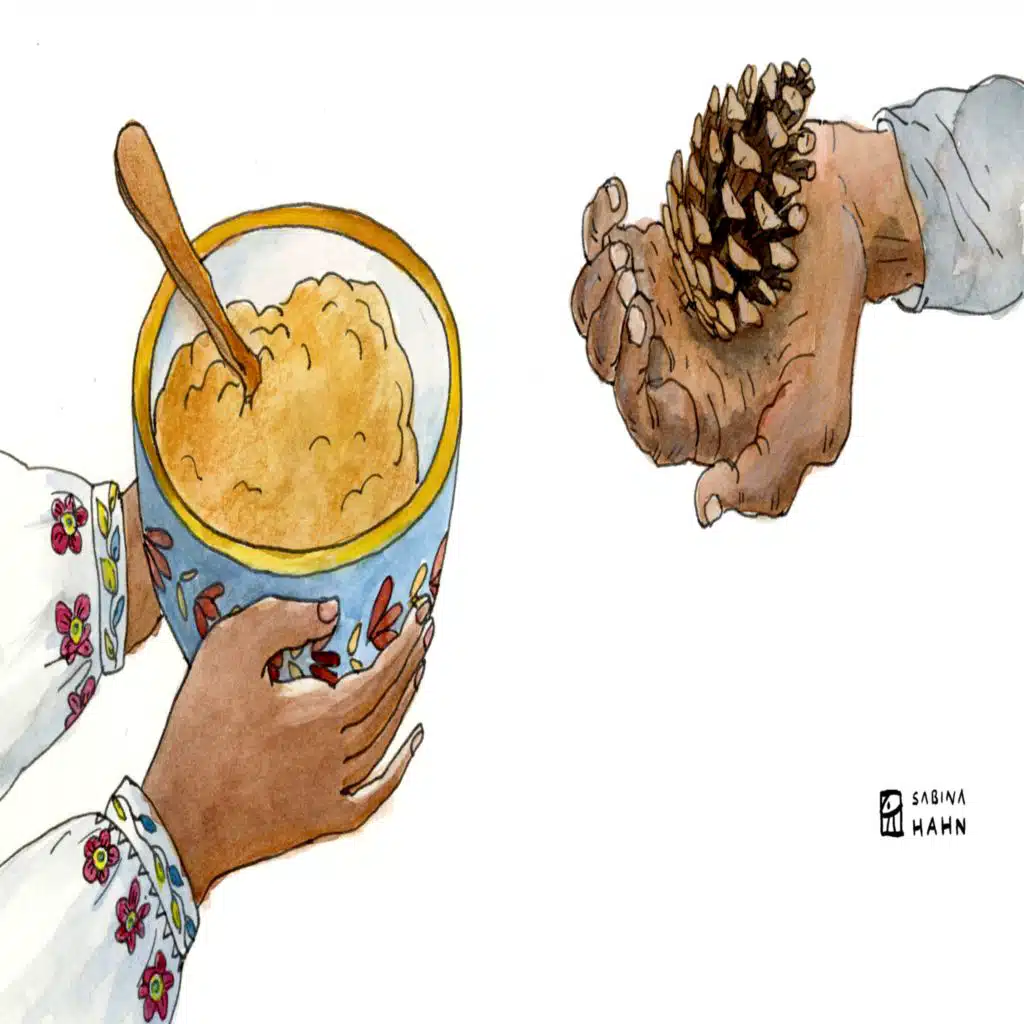 'The Extraordinary Pine Cone' | Circle Round 111