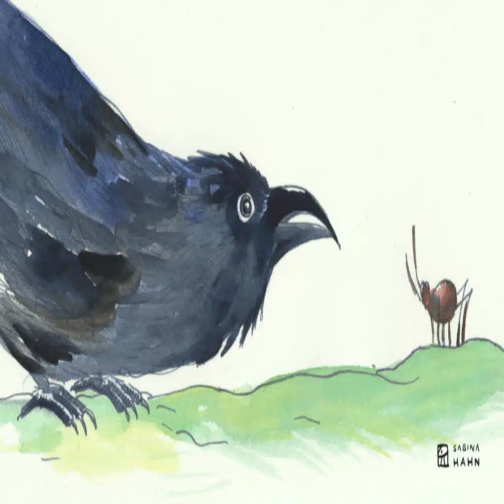 Encore: The Fire on the Other Side of the World