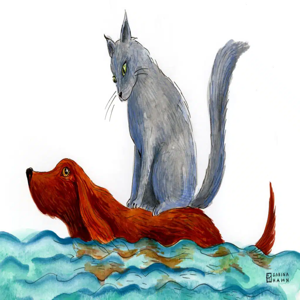 Fighting Like Cats and Dogs (feat. Boston Symphony Orchestra) | Ep. 177