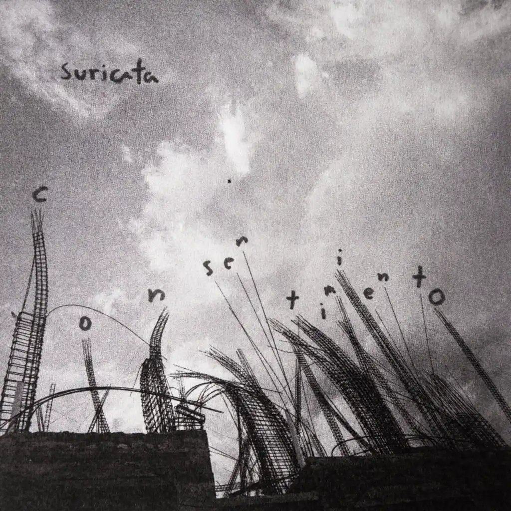 Suricata