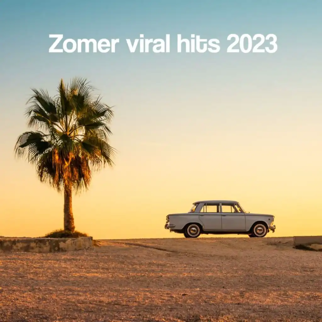 Zomer Viral Hits 2023 | Everytime you break my heart