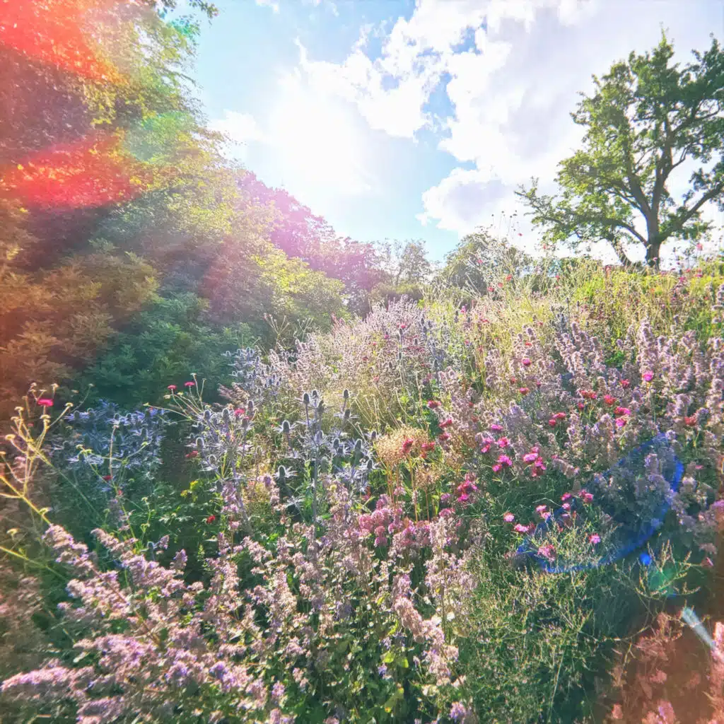 As I Say Good Night You Say Good Bye - EP (feat. Feivel, Felicia Stjärnsand & Kristina Issa)