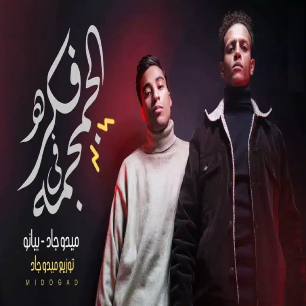 الفكرة في الجمجمة