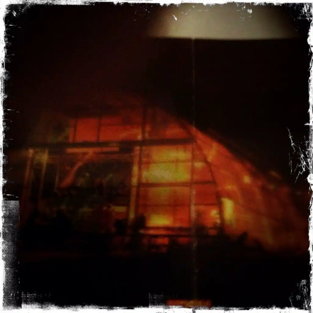 Measures-Dschungel-Asleep