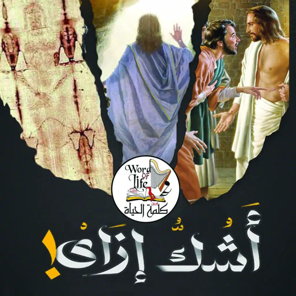 مش قصة وألفوها (feat. جاكلين سعد & كارمن محسن)