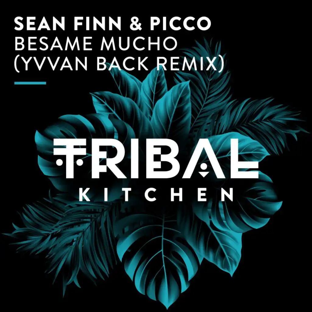 Sean Finn & Picco