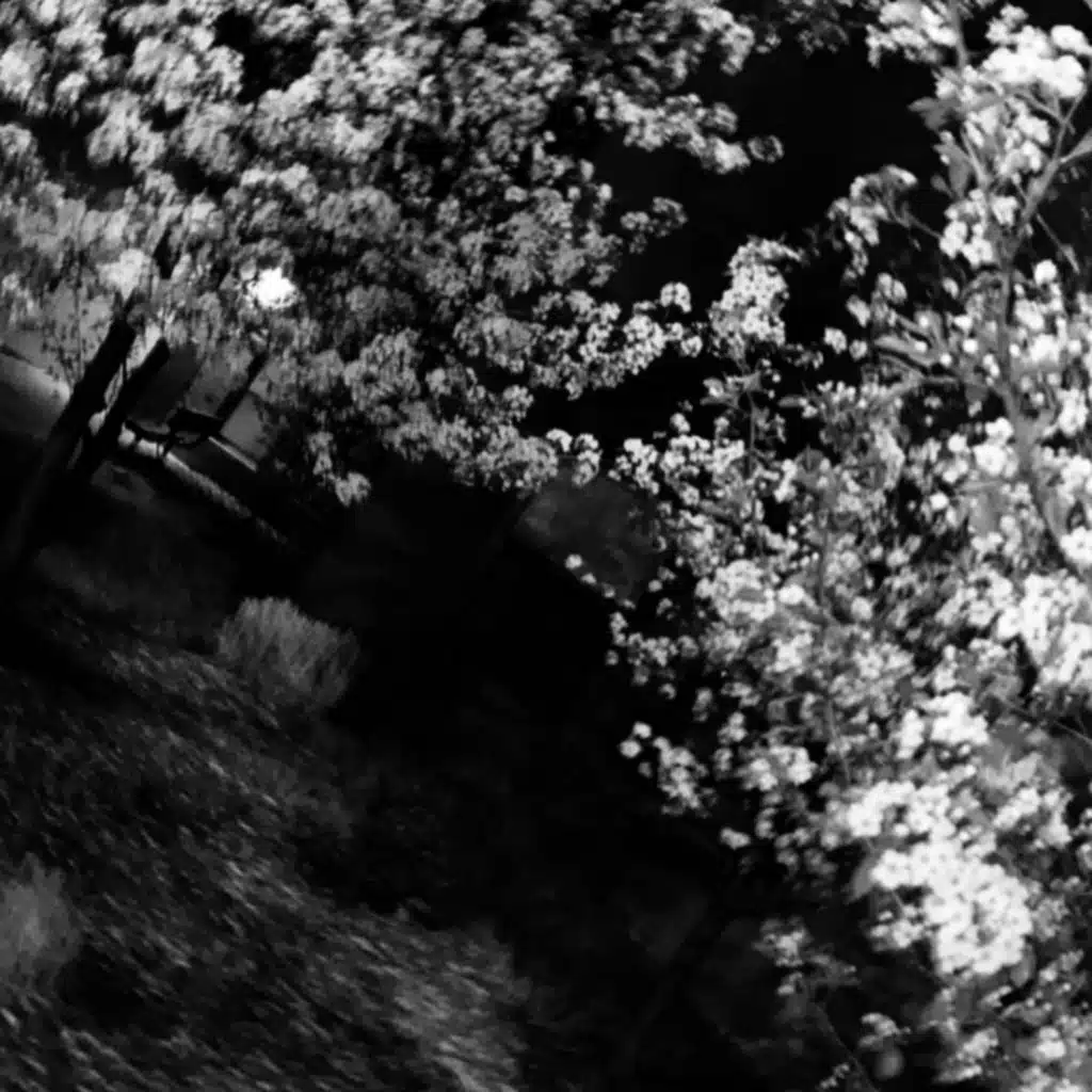 Blizzard Pt.2 (feat. ADHD)