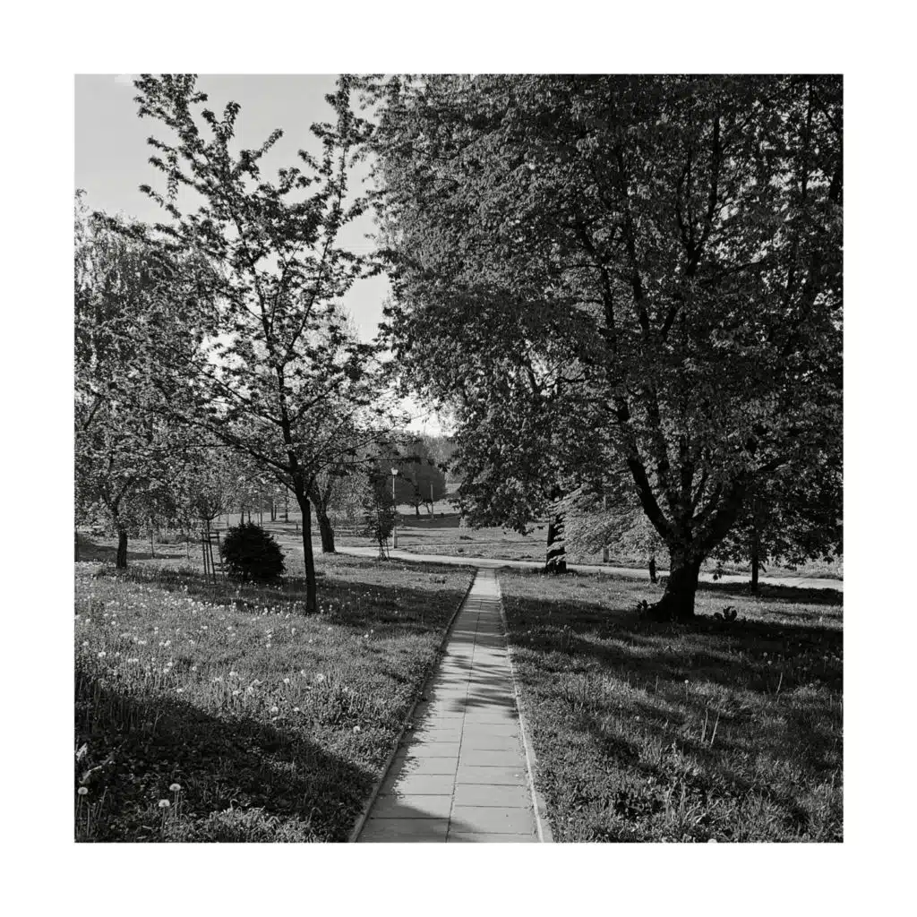 Summer 89 (Recollections)