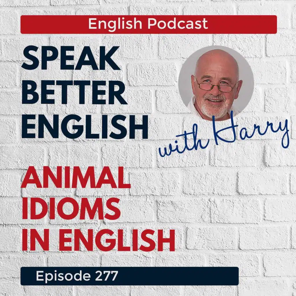 Speak Better English with Harry | Episode 277