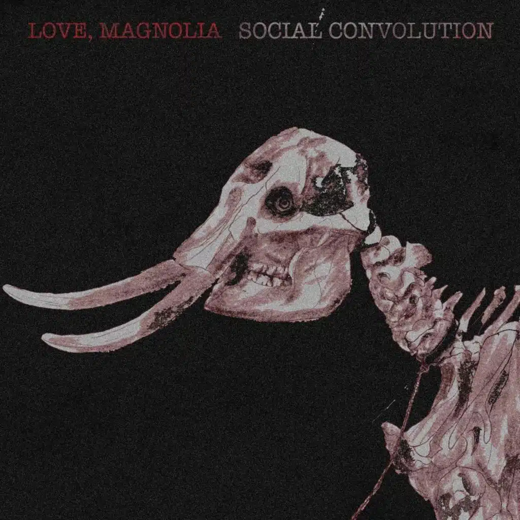 Love & Magnolia