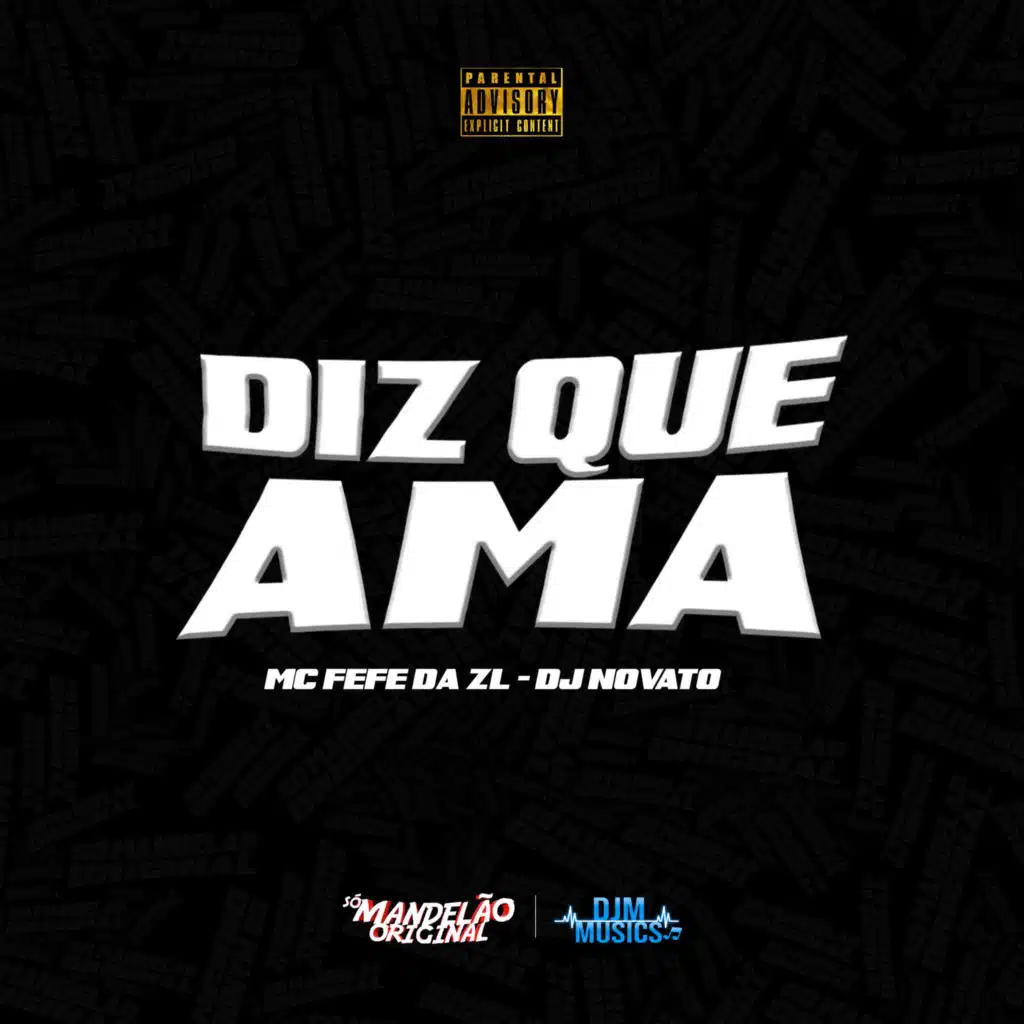 Dj Novato & MC Fefe Da ZL