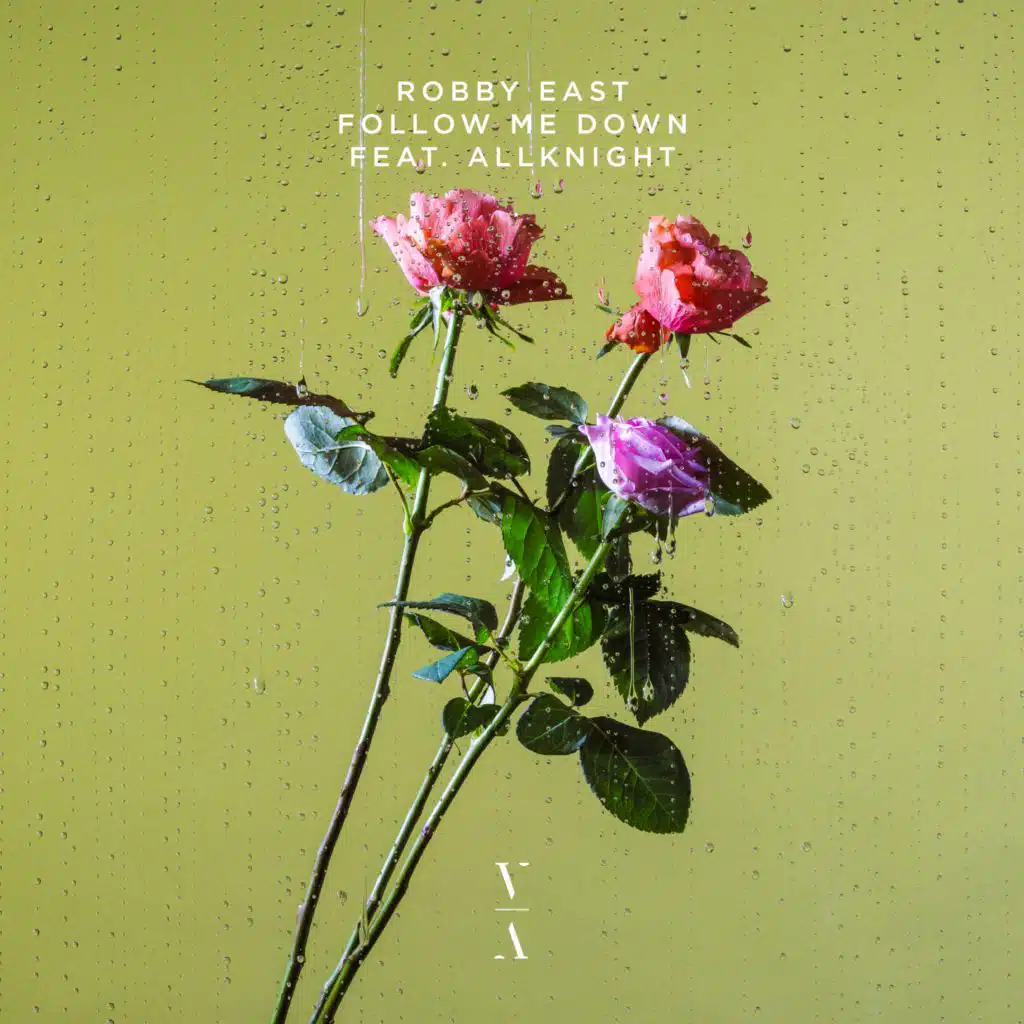 Follow Me Down (feat. ALLKNIGHT)