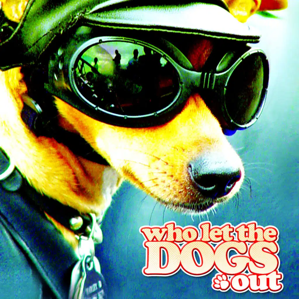 Who Let The Dogs Out (Extended Mix)