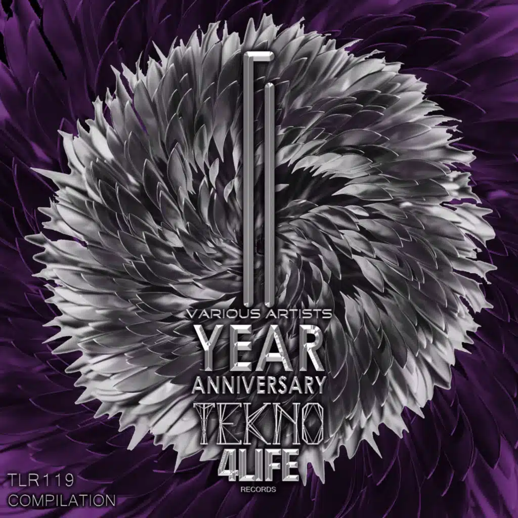 V.A. - 1 Year of Tekno4Life Records Compilation