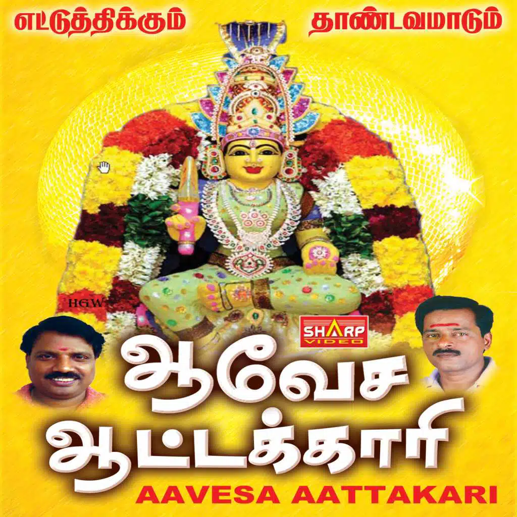 Aavesaaatakari