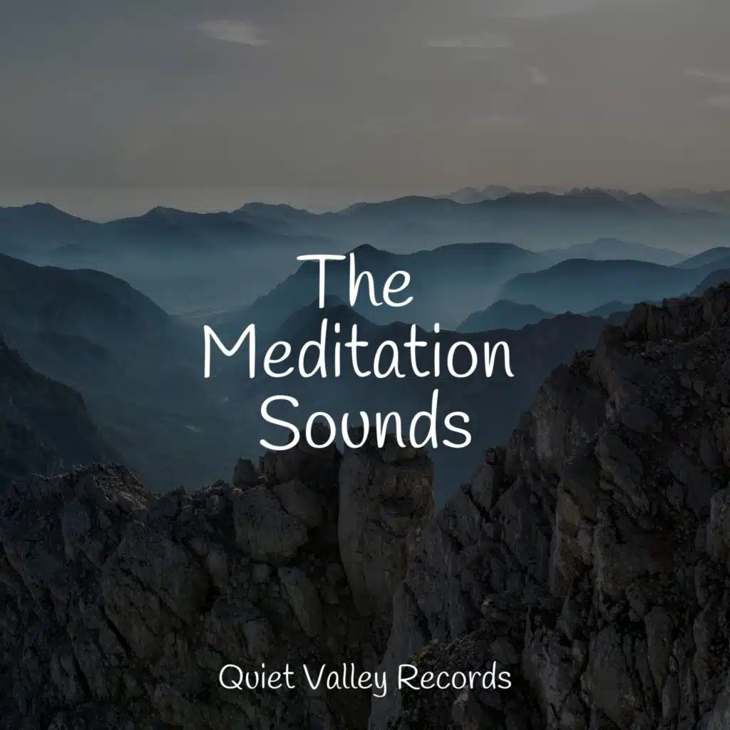 The Meditation Sounds