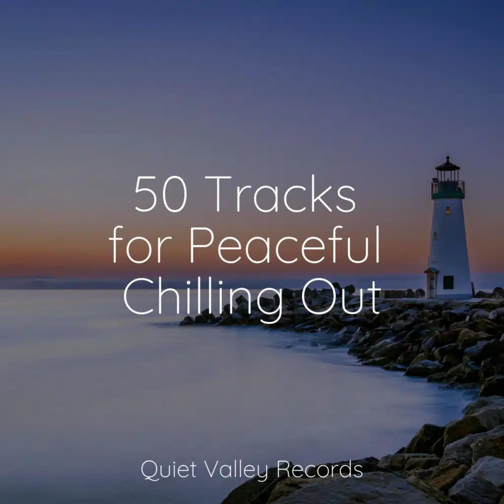 50 Tracks for Peaceful Chilling Out
