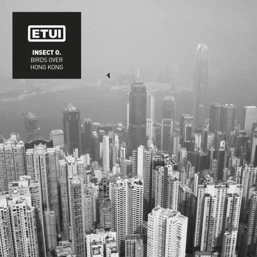 Birds over Hong Kong