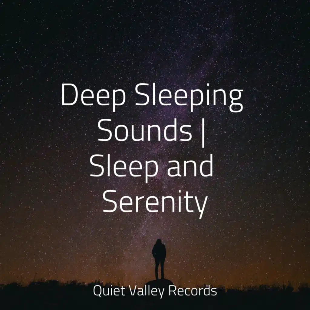 Deep Sleeping Sounds | Sleep and Serenity