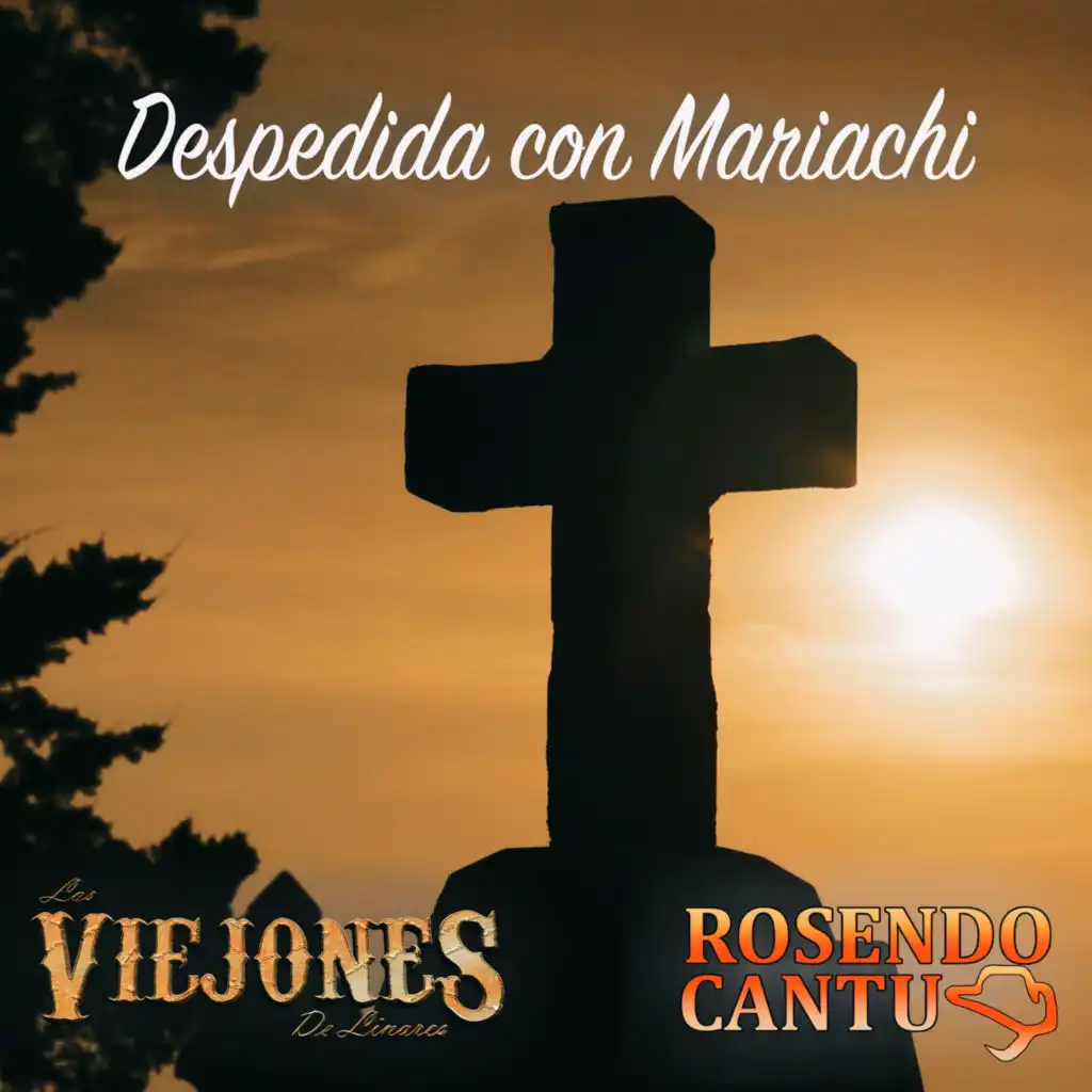 Los Viejones De Linares & Rosendo Cantú