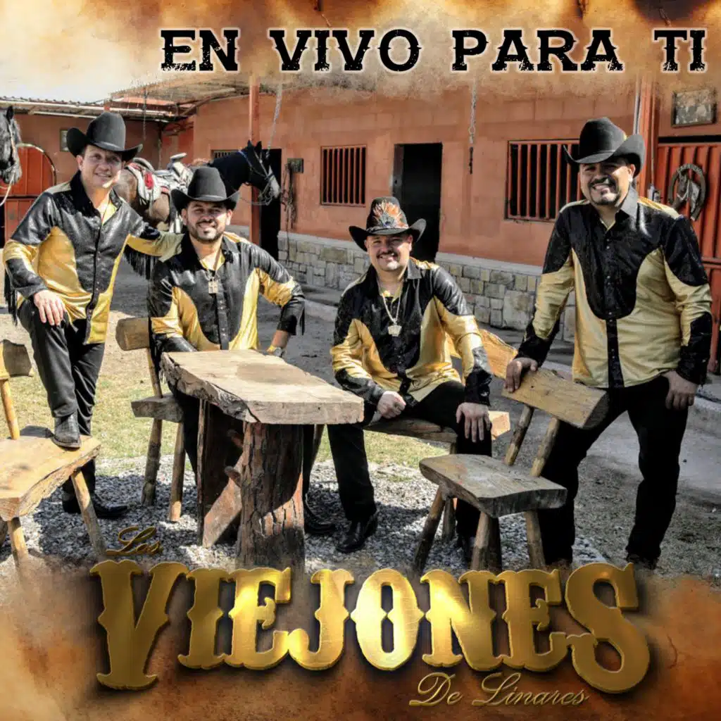 Amores Fingidos (En Vivo)