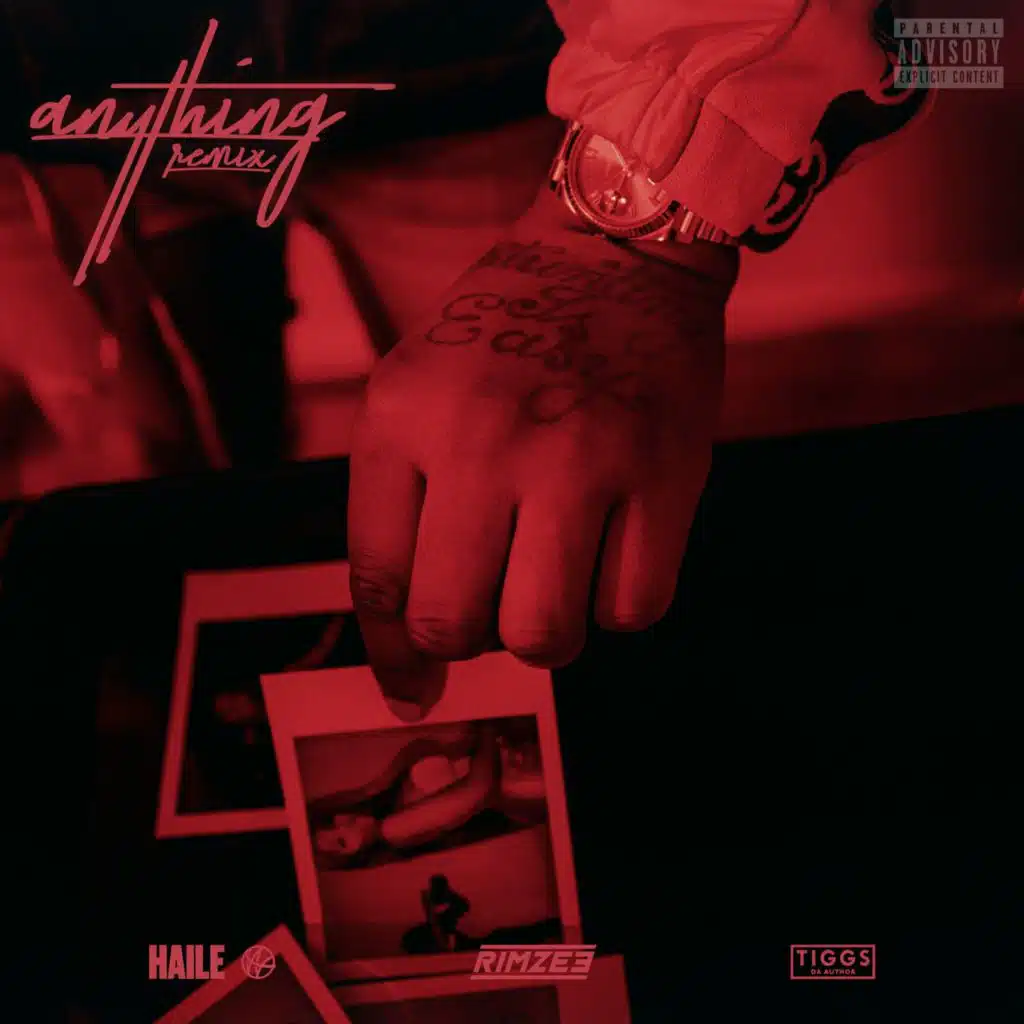 Anything (Remix) [feat. Hallie & Tiggs Da Author]