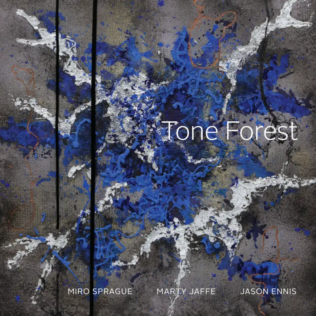 Tone Forest (feat. Marty Jaffe, Miro Sprague & Jason Ennis)