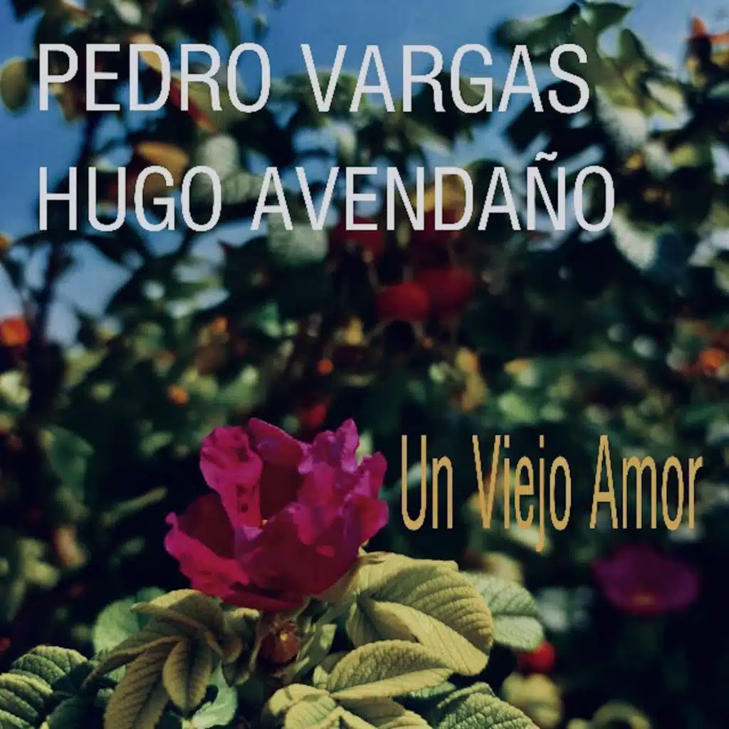 Un Viejo Amor