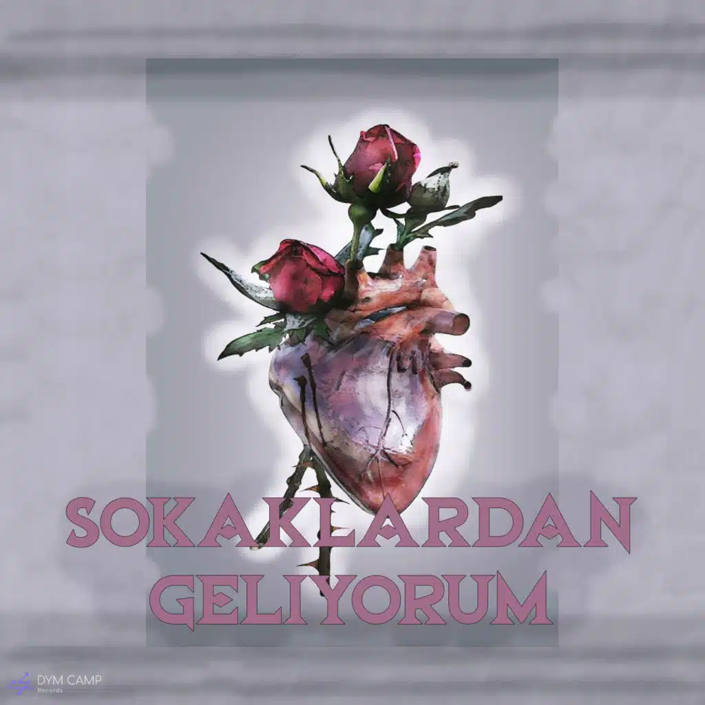 Sokaklardan Geliyorum