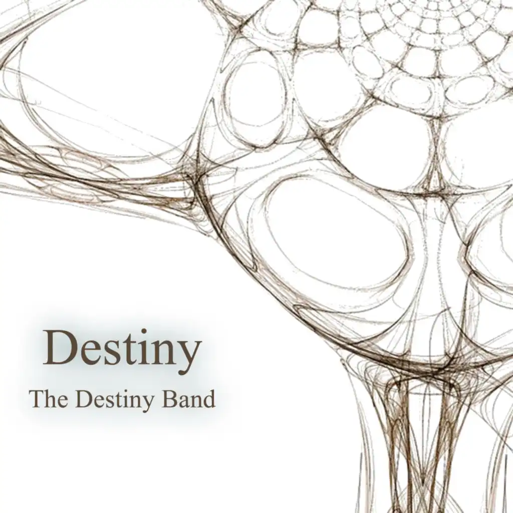 Destiny (feat. Ryan Adams, Sahra & Damien Reilly)