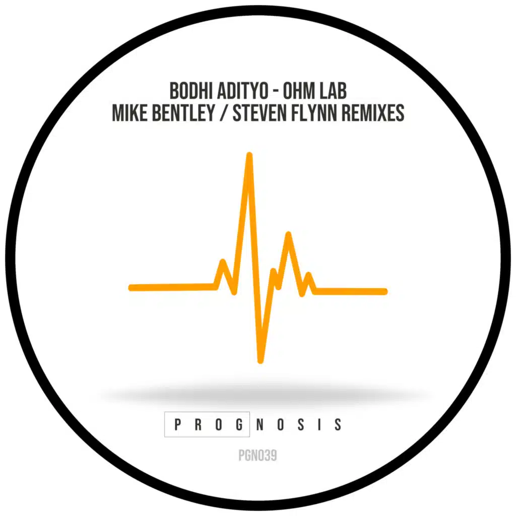 Ohm Lab (Steven Flynn Remix)