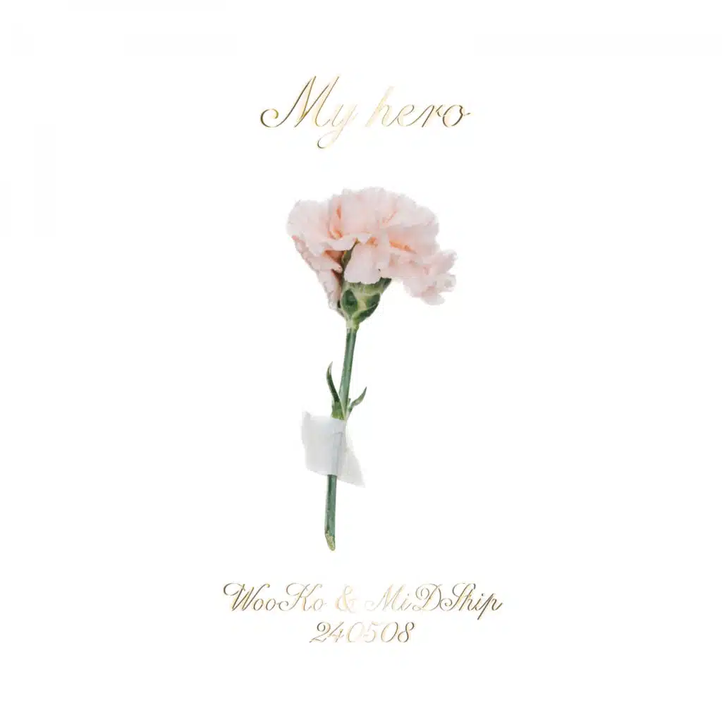 My hero (feat. MiDShip)