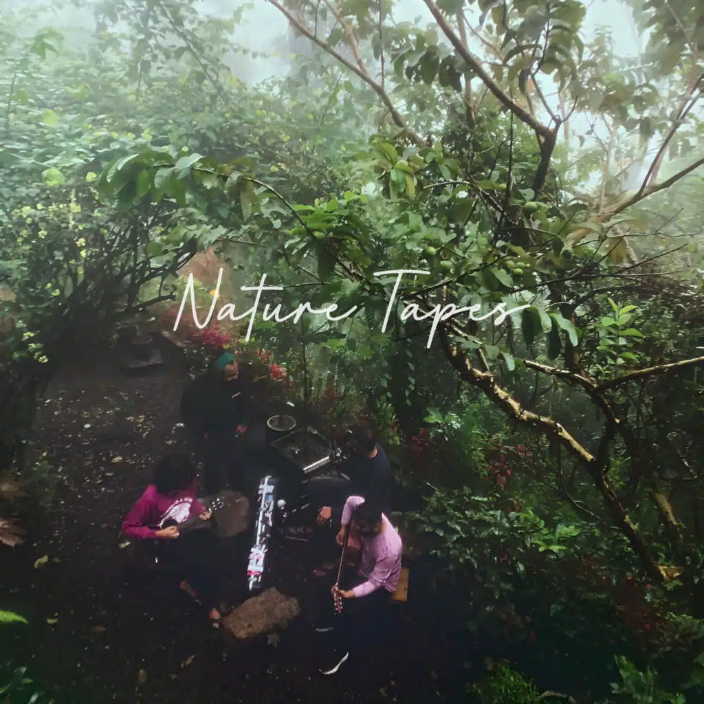 When We Feel Young (Nature Tapes)