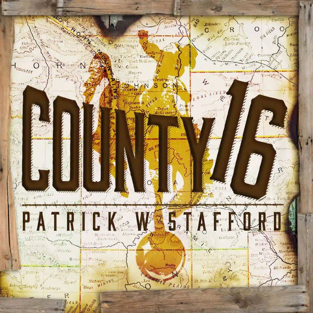Patrick W Stafford
