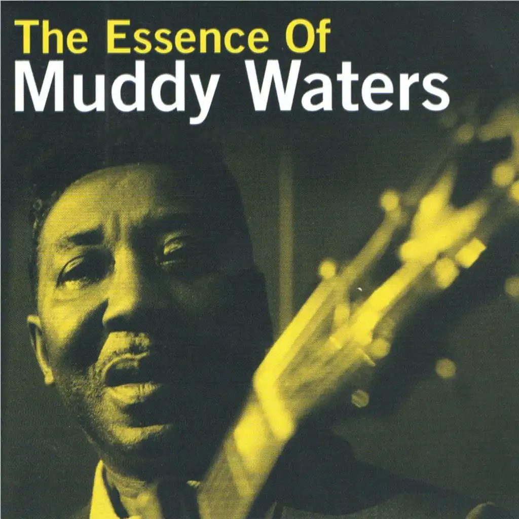 The Essence Of Muddy Waters, Pt. 1