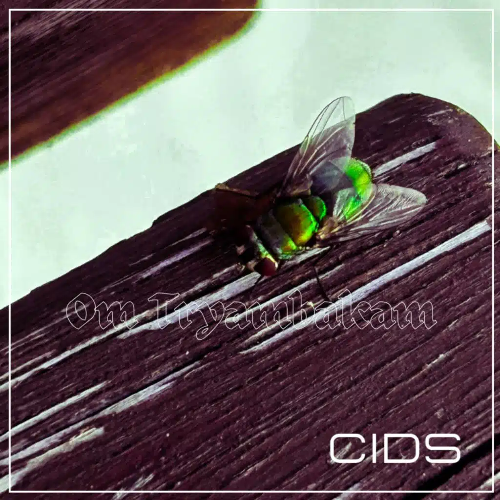 CIDS